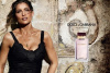 Dolce&Gabbana Pour Femme 2012 от 5 612 ₽ в интернет магазине парфюмерии myparfume.ru