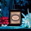 Gucci Bloom Intense 2023 от 7&nbsp;569 ₽ в интернет магазине парфюмерии myparfume.ru