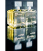 Lumiere Noire Pour Femme 2009 от 8&nbsp;970 ₽ в интернет магазине парфюмерии myparfume.ru