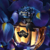 Guerlain Shalimar Millesime Iris 2023 от 14&nbsp;520 ₽ в интернет магазине парфюмерии myparfume.ru