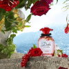 Dolce & Gabbana Dolce Rose 2021 от 364 ₽ в интернет магазине парфюмерии myparfume.ru