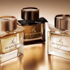 Burberry My Burberry 2014 от 3 433 ₽ в интернет магазине парфюмерии myparfume.ru