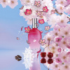 Escada Cherry In Japan 2022 от 152 ₽ в интернет магазине парфюмерии myparfume.ru