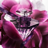 Lancome La Nuit Trésor Le Parfum 2024 от 7&nbsp;892 ₽ в интернет магазине парфюмерии myparfume.ru